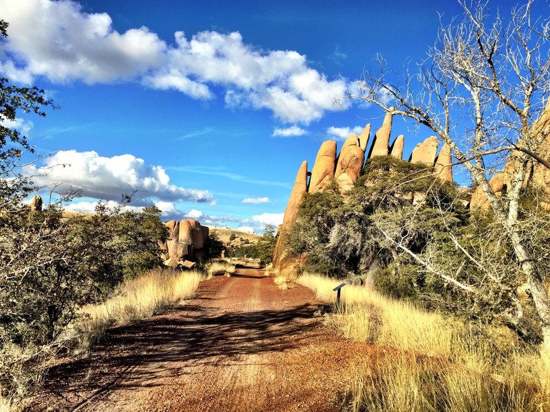 Peavine Trail