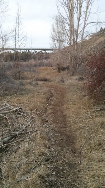 Good flowy singletrack. Watch out for the water drainage in places.