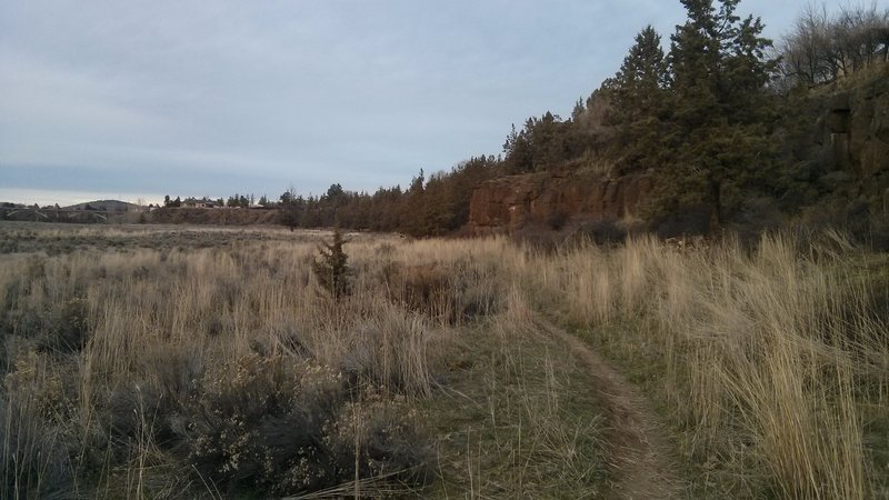 The majority of the trail is through tall grass and shrub on the east side of Dry Canyon.