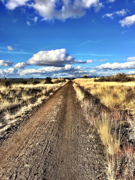 Looking north towards the airport on Peavine Trail