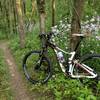 Springtime flowers in bloom beside the sweet singletrack in Rolling Hills Park