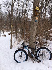 Optional bridge over a big fallen tree on the East loop.