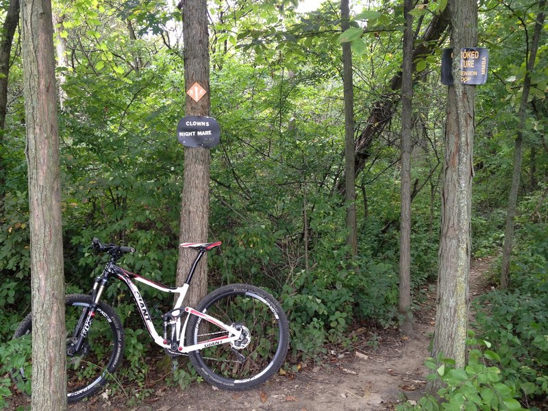 The entrance to the "Clown's Nightmare" section of the Crooked Vulture Extension loop.  So named because the section has very tight turns, and can be challenging for big 29er bikes.