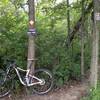 The entrance to the "Clown's Nightmare" section of the Crooked Vulture Extension loop.  So named because the section has very tight turns, and can be challenging for big 29er bikes.