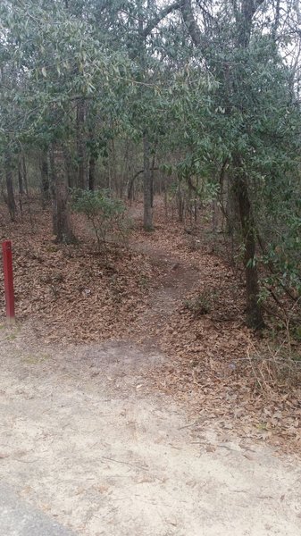 Stower's loop trailhead