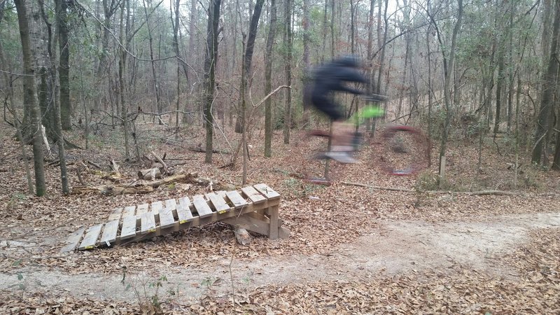 Progressive wood jumps