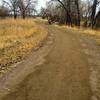 The Coal Creek trail, following the Coal Creek, of course.