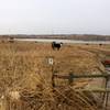 Rock creek is still a working farm, while preserved by Boulder County as open space.