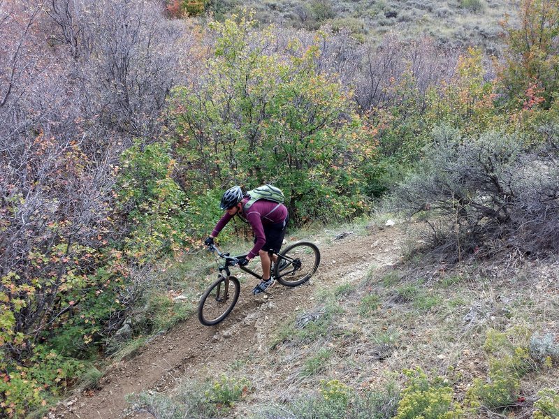 Zipping down Black Carin