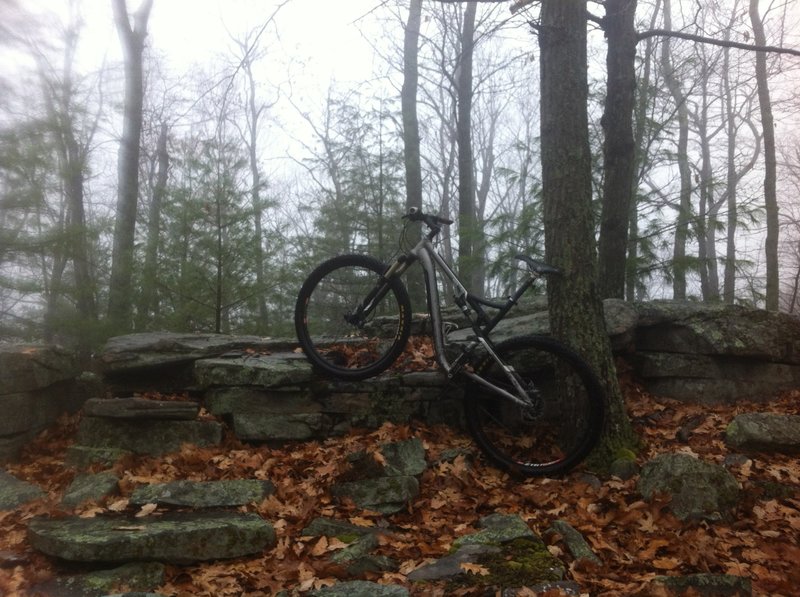 My bike, leaning against rocks on Deer Tick Trail