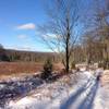 Middle Ridge Trail next to headwaters of Blackwater River