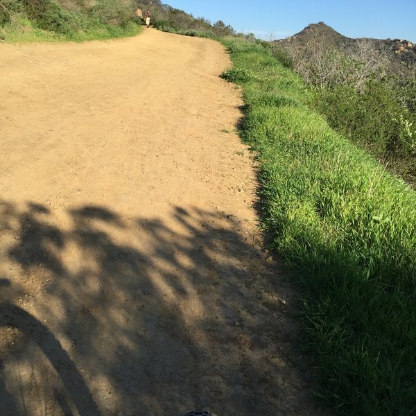 Climbing up Willow Canyon Trail in the San Joaquin Hills.