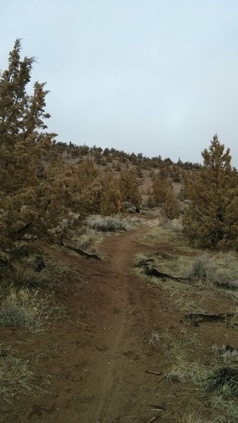 Climbing past the downhill intersection.