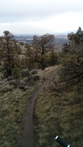 Starting the downhill.