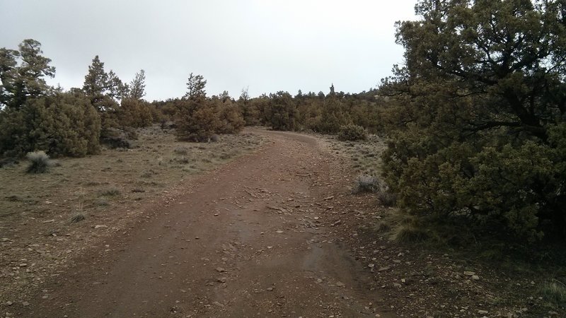 The dirt roads on the back side of the butte are steep and rough.