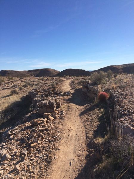 Buff singletrack on Good Call Trail...