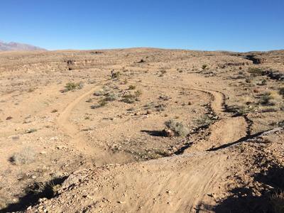 This is the first obstacle when going up Good Call, the drop is on the left. The right is rollable and avoids the drop, it's also the best option when riding down the trail.