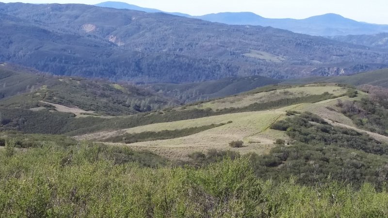 Judge Davis Trail snaking down toward Wilson Valley