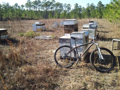 Bee hives! Not something you see along the trail every day.