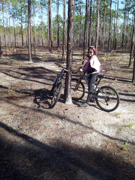 Crooked Creek Bike Trail through managed pine grove that was burned to clear undergrowth.