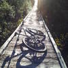 Boardwalk over a swampy area of Dutch & Faye Tiemann Trail, late in the afternoon.