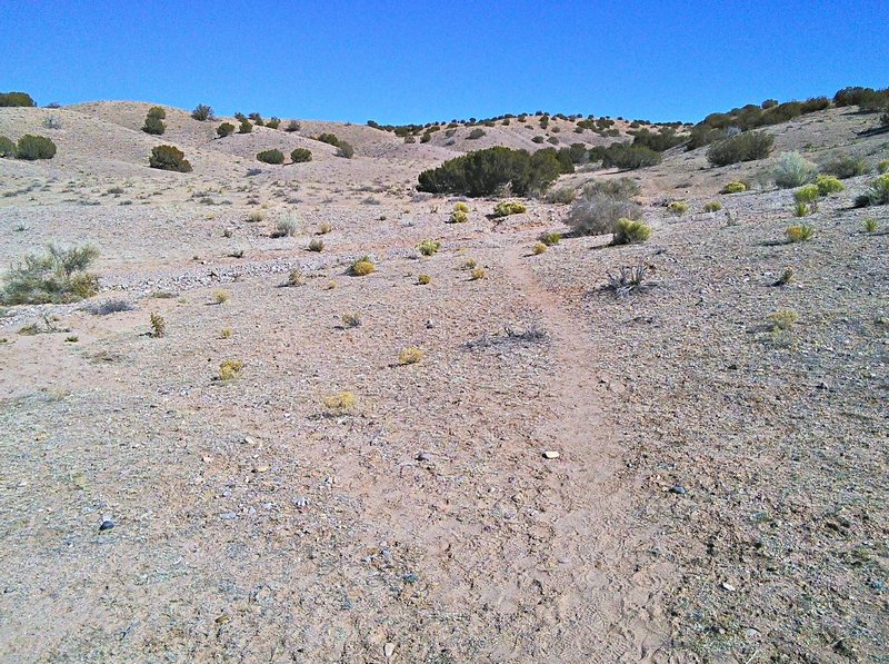 Trailhead at 5200 feet is one of the lowest in the Albuquerque area