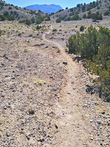 Nice singletrack on Placitas Open Space