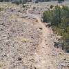 Nice singletrack on Placitas Open Space