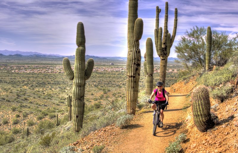 Total Ride Phoenix Phoenix Sonoran Preserve