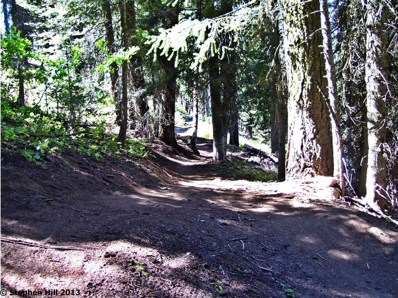 One of the faster sections of Elk Trail.