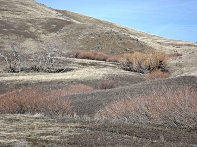 Rolling foothills along Pearl Road.