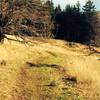 Pine Ridge Trail