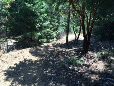 Start of Pine Ridge Trail