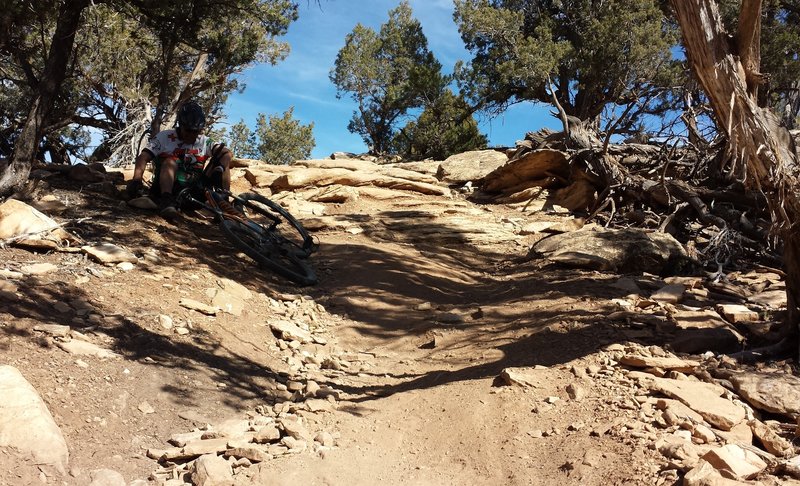 This is right after the "Stone Axe Hill" section.  WATCH OUT because these hard, steep steps come immediately after a fast left turn.  I wasn't so lucky and took a tumble down them.  Ouch!  Good Luck.