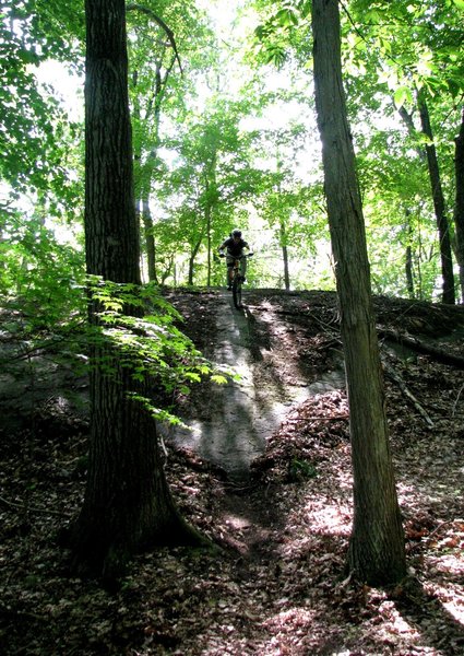 The "Rouge" Roller-Slide!