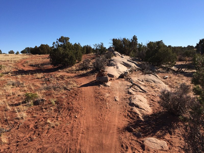 Mark's Reach Trail goes straight ahead over the rocks.