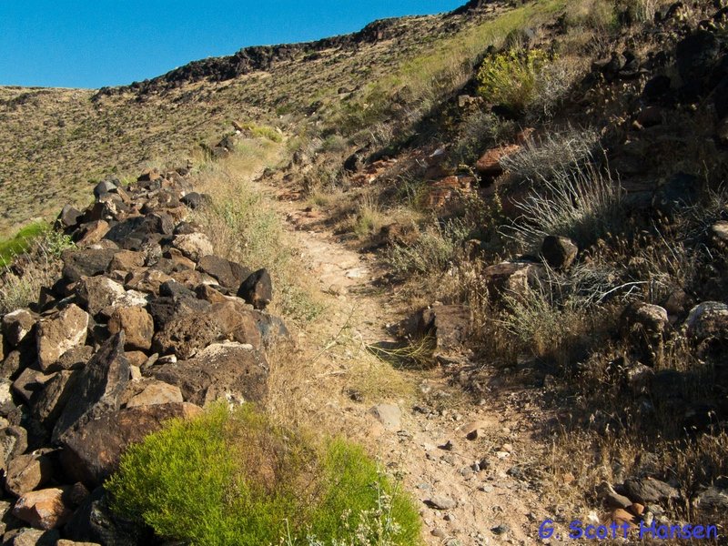 Icehouse Trail starts at the south end at this junction with the Middleton Powerline Road