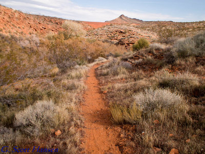 Singletrack dirt trail runs above City Creek
