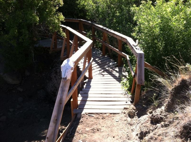 Cow Bridge on Bovine Nirvana