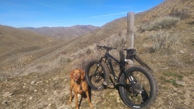 Are we ready to go down....