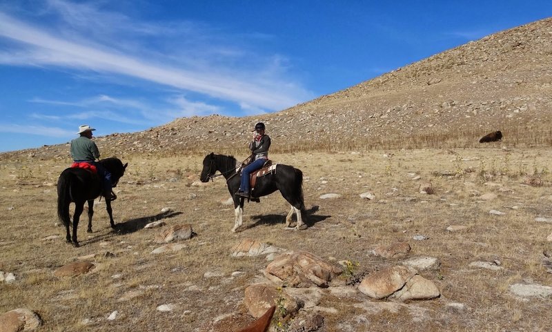 Watch for local cowboys on Antelope Island