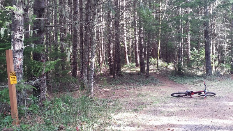 Where the trail meets the road. From Here down is killer loam. From here up is wicked switchbacks.