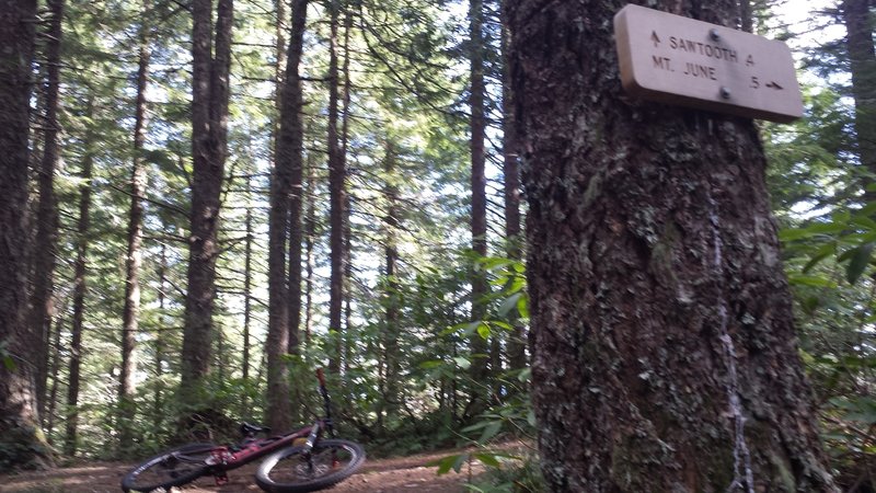 Trail junction of Sawtooth and Mt. June