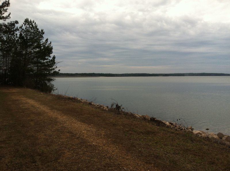 A great view of the lake from this sitting bench along the trail.