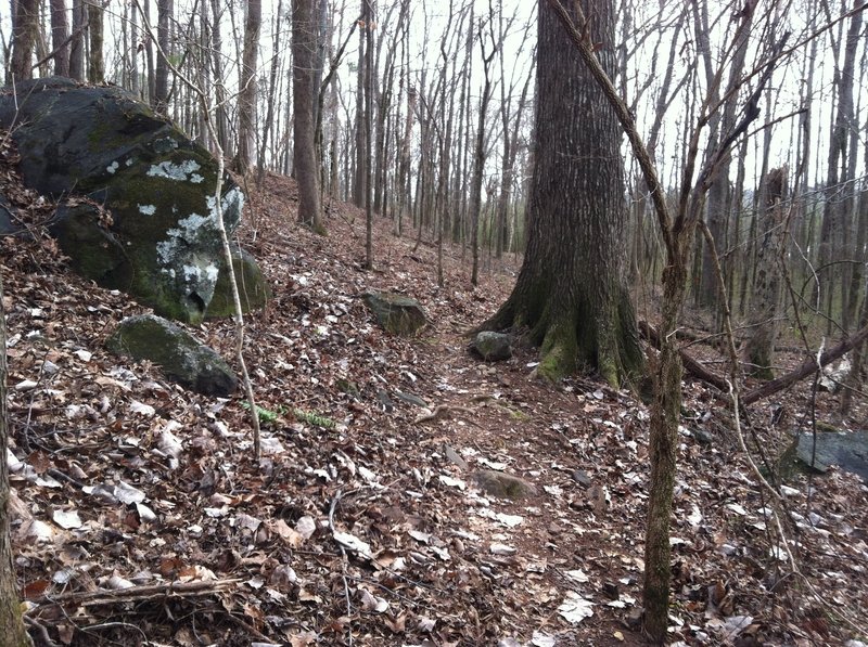 Narrow navigation by one of the few large boulders on the property.