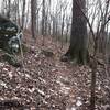 Narrow navigation by one of the few large boulders on the property.