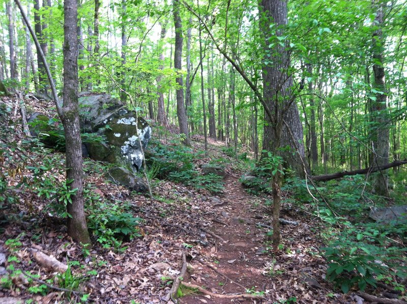 Narrow navigation by large boulder in mid spring.