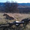 Trail break on Cache Creek Ridge Trail