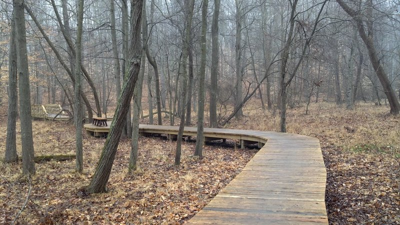 Boardwalk spanning the flood plain of Massey Creek on the South Branch Loop.