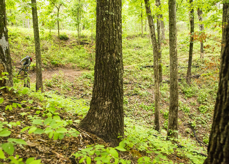 Finishing the Little Clifty Loop from the counter-clockwise direction.